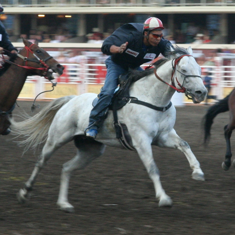 Reiter beim Calgary Stampede