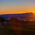 Reiter blicken Richtung aufgehender Sonne