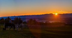 Reiter blicken Richtung aufgehender Sonne