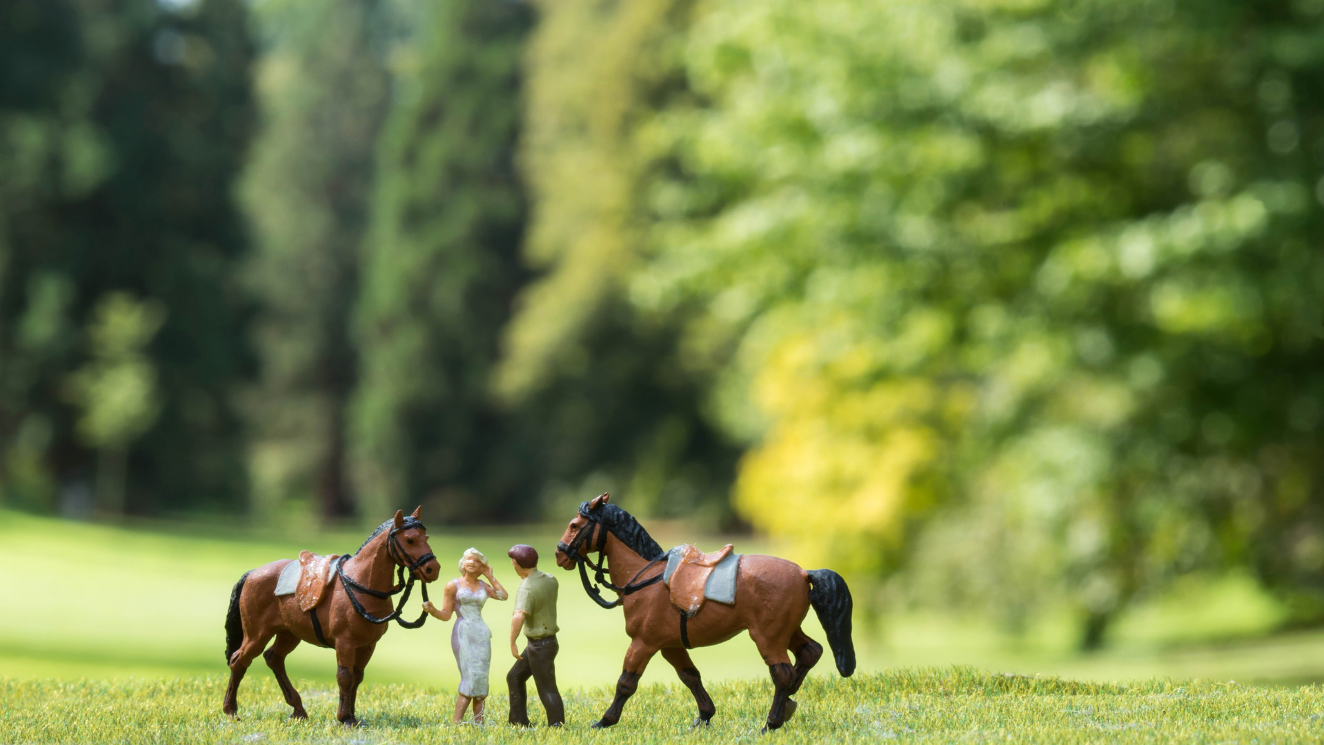 Reiter im Rombergpark