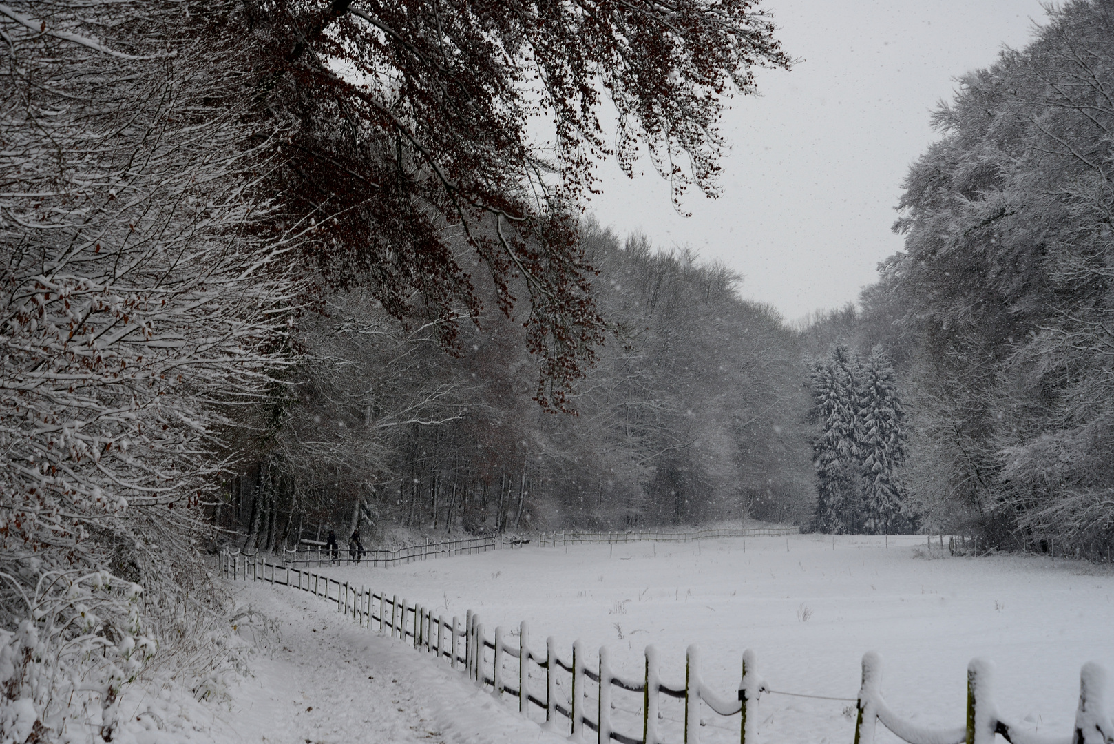 Reiter im Schnee