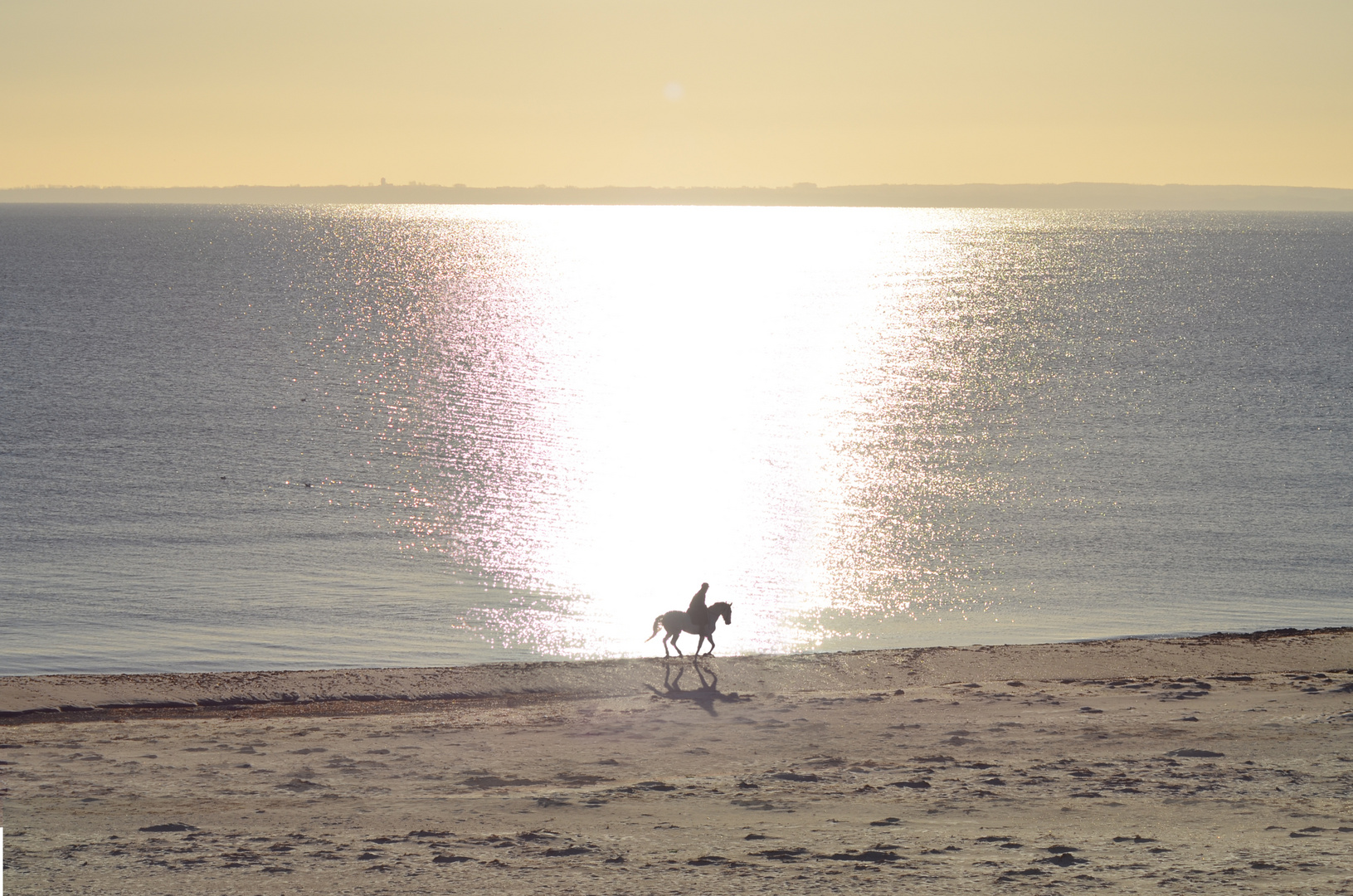 Reiter im Sonnenaufgang an der Ostsee