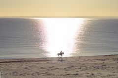 Reiter im Sonnenaufgang an der Ostsee