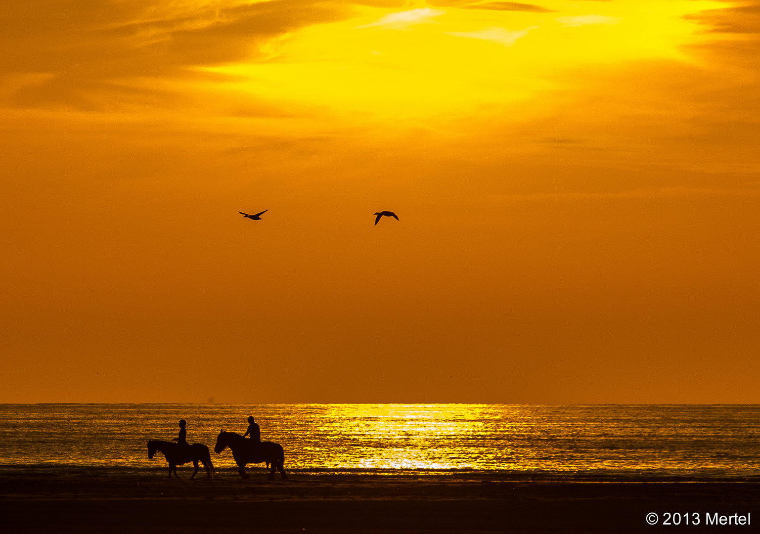 Reiter im Sonnenuntergang am Strand