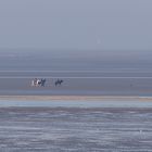 Reiter im Wattenmeer vor Cuxhaven-Duhnen