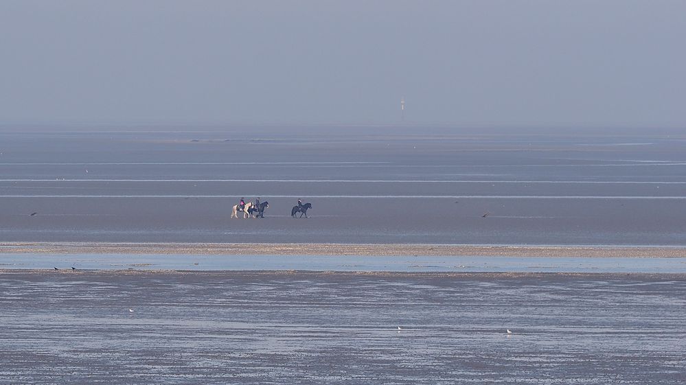 Reiter im Wattenmeer vor Cuxhaven-Duhnen