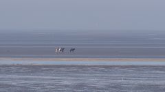 Reiter im Wattenmeer vor Cuxhaven-Duhnen