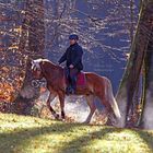 Reiter im Zauberwald