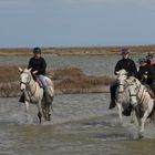 Reiter in der Carmargue