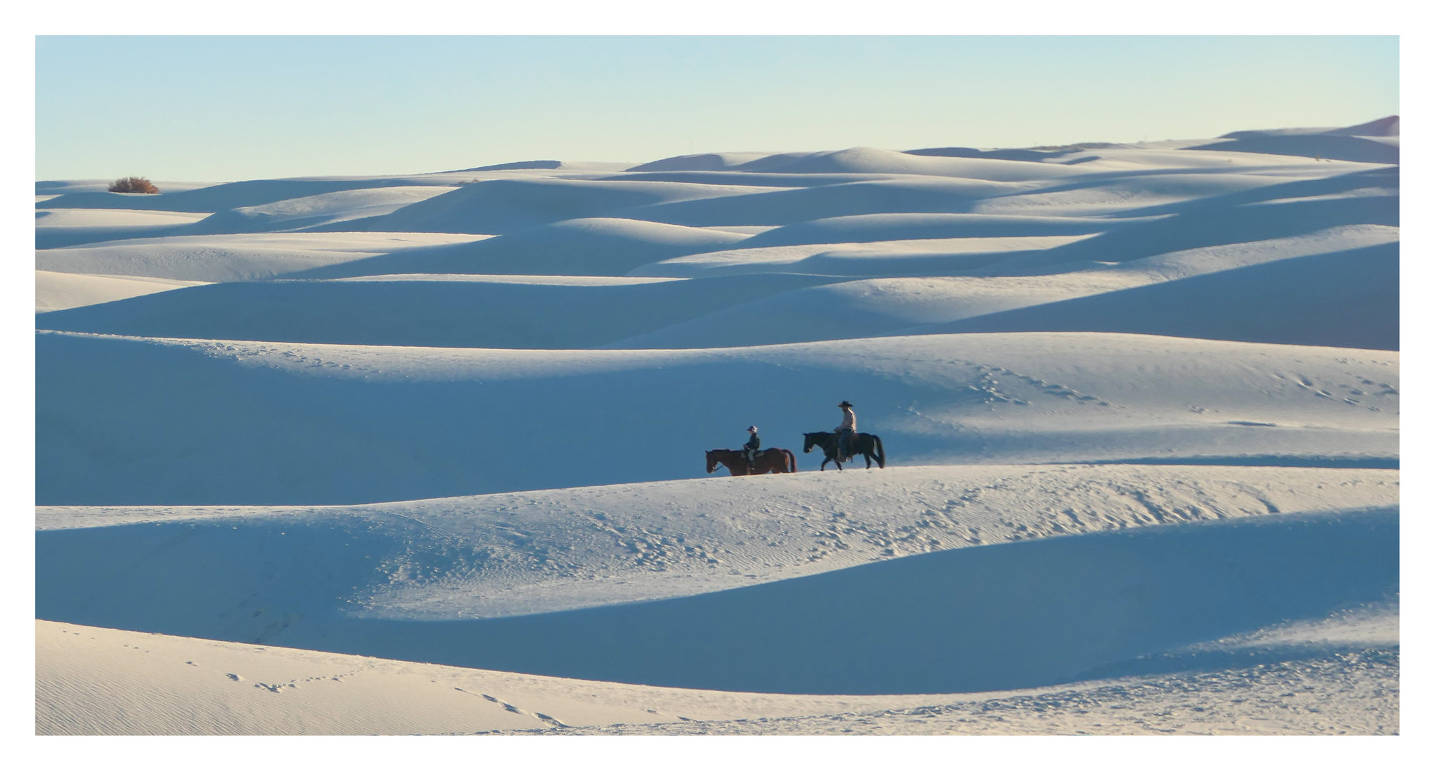 Reiter in White Sands