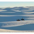 Reiter in White Sands