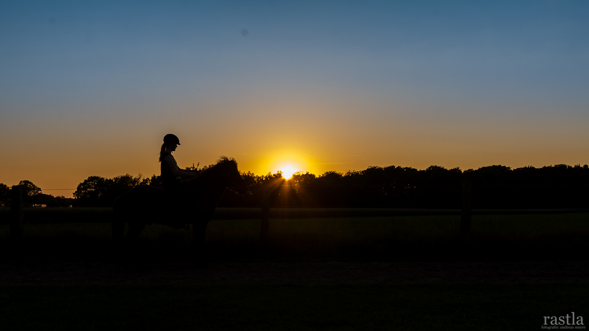 Reiter Silhouette