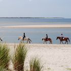 Reiter Süderdünen (große gefährliche Sandbank)