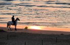 Reiter und Meer von Anette Singscheidt 