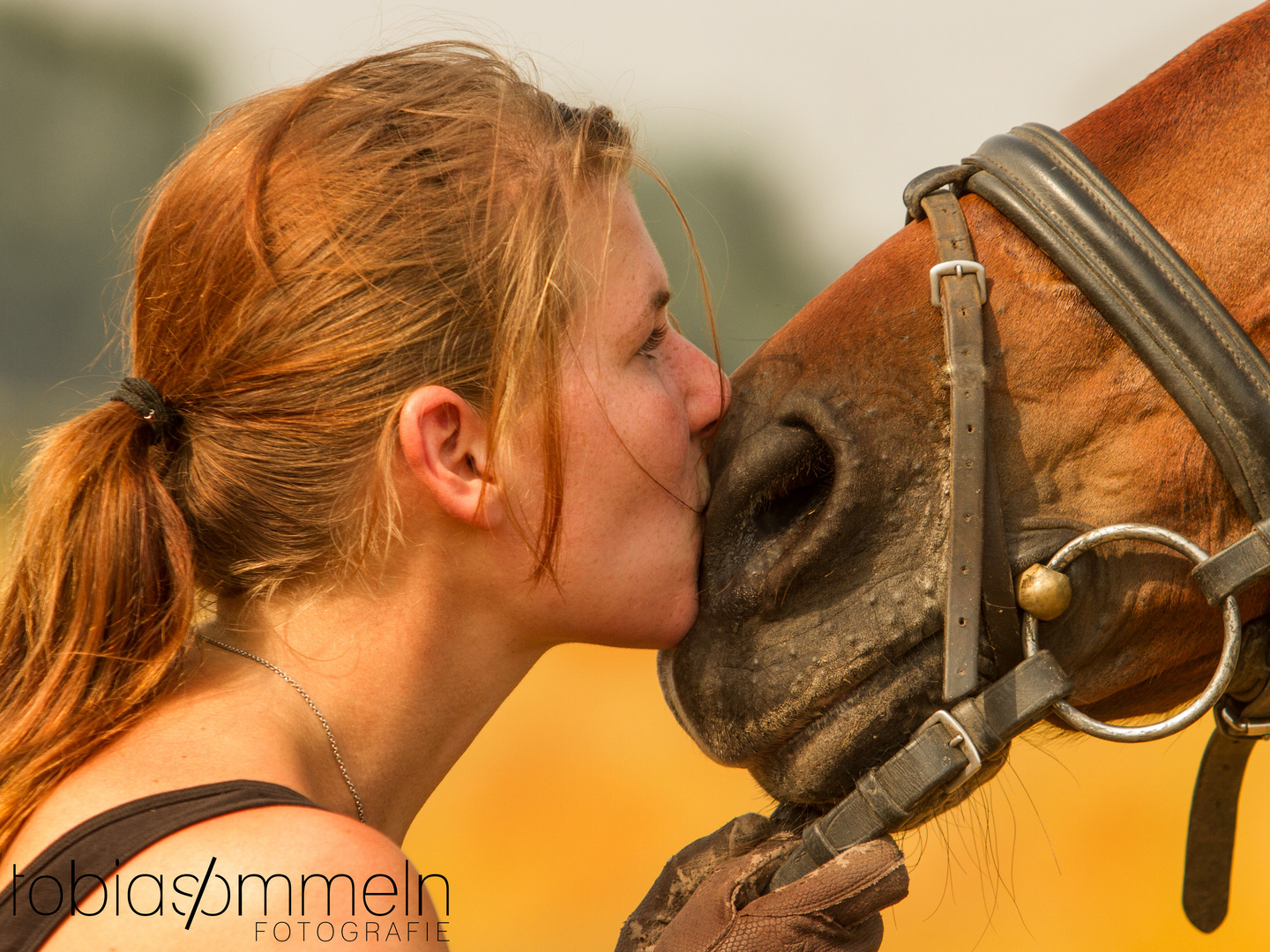 Reiter und Pferd