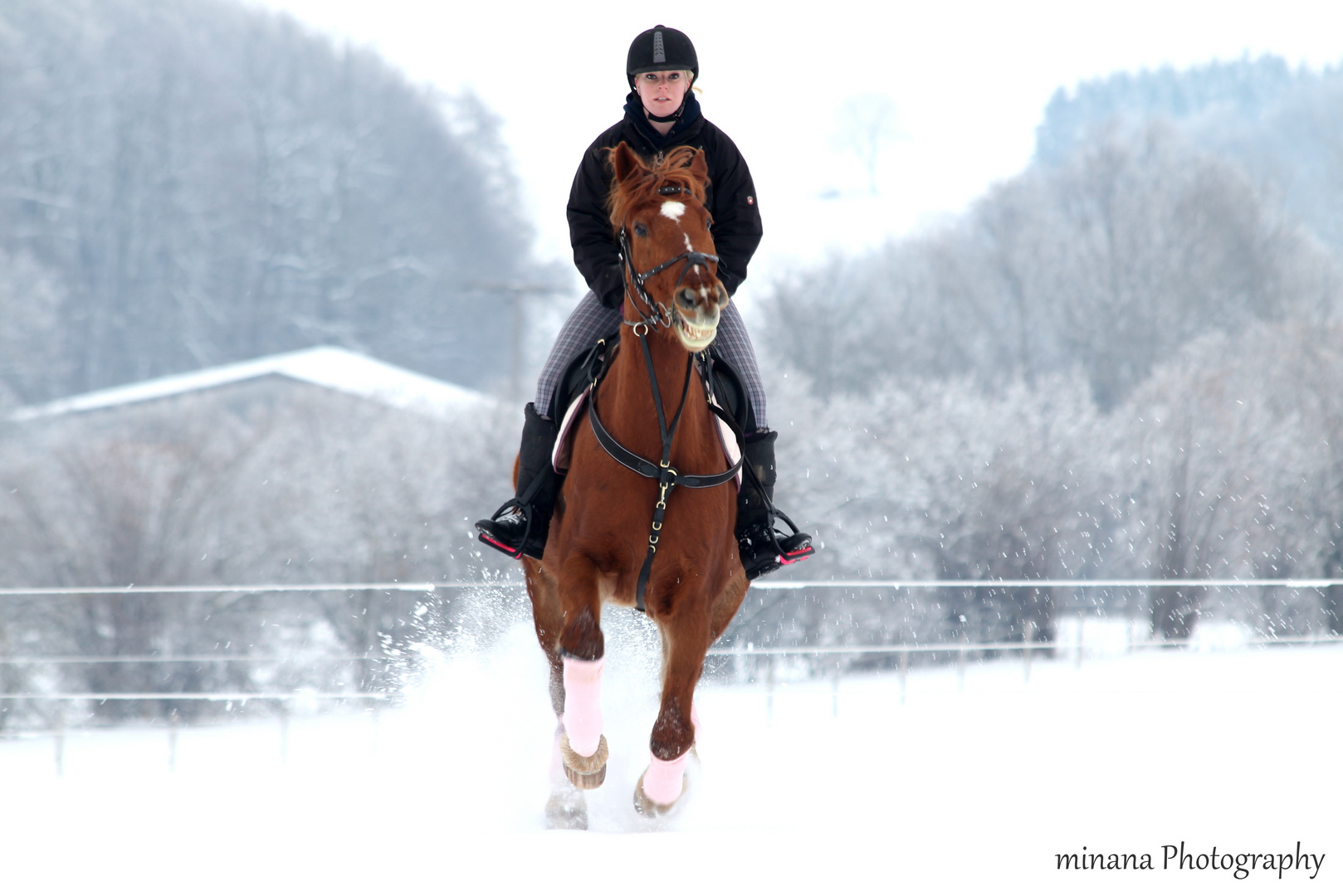 Reiter und Pferd