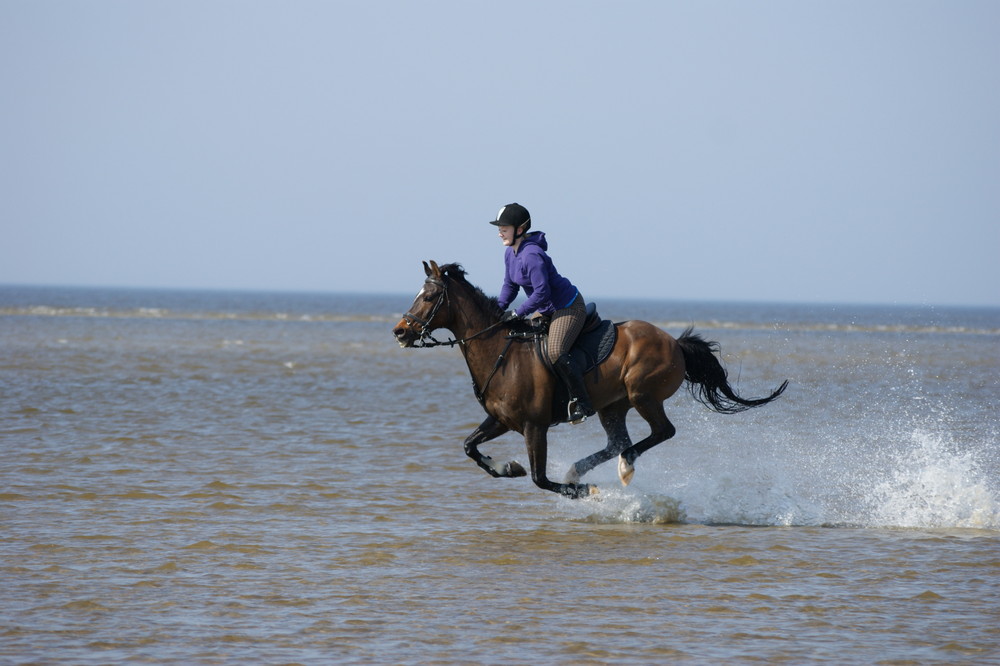 Reiter und Pferd in St. Peter Ording