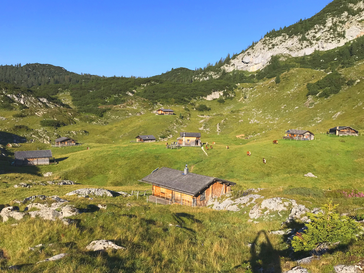 Reiteralpe, Berchtesgadener Land