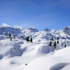 Reiteralpe, Berchtesgadener Land