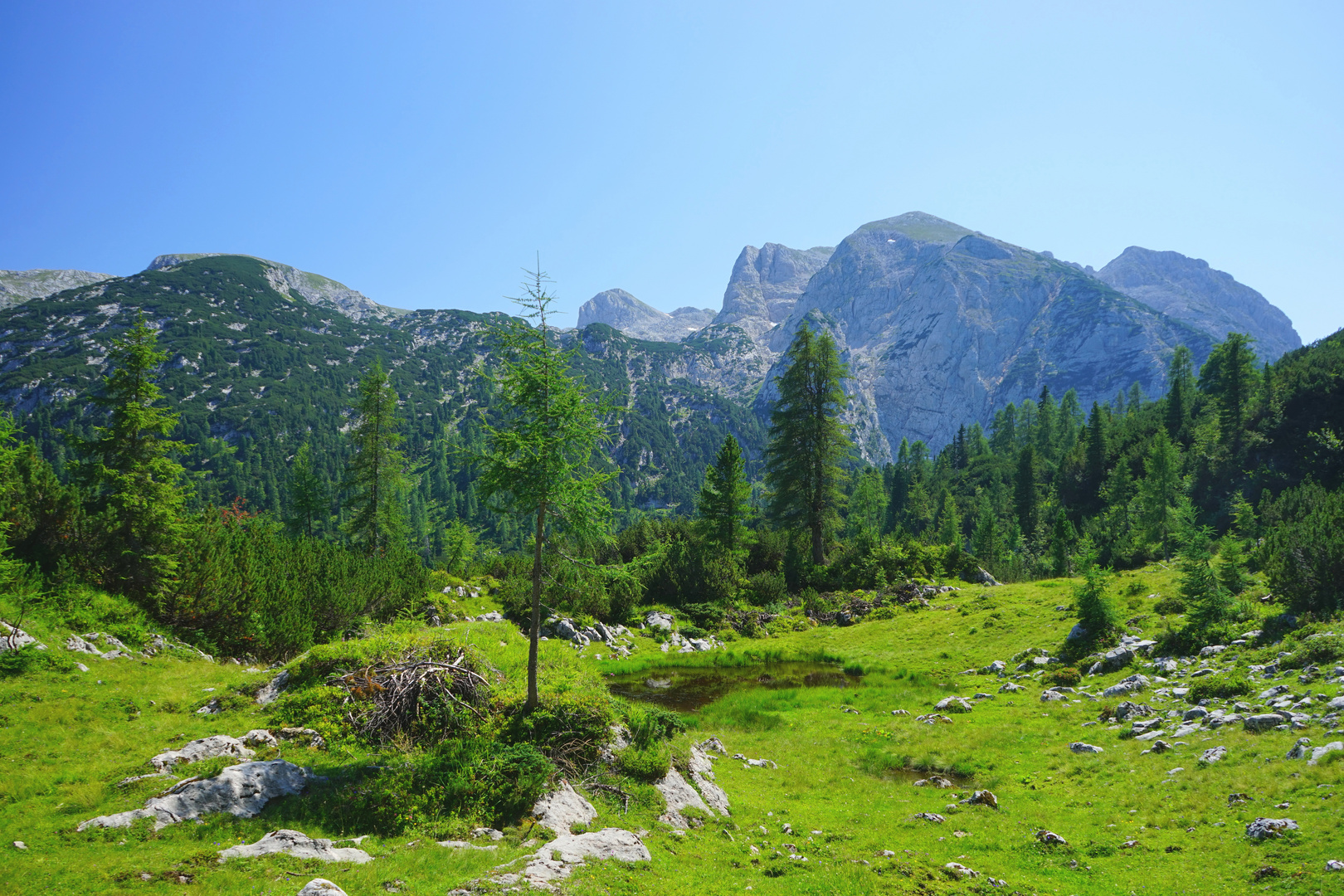 Reiteralpe, Berchtesgadener Land / Salzburg