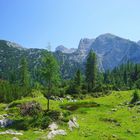 Reiteralpe, Berchtesgadener Land / Salzburg