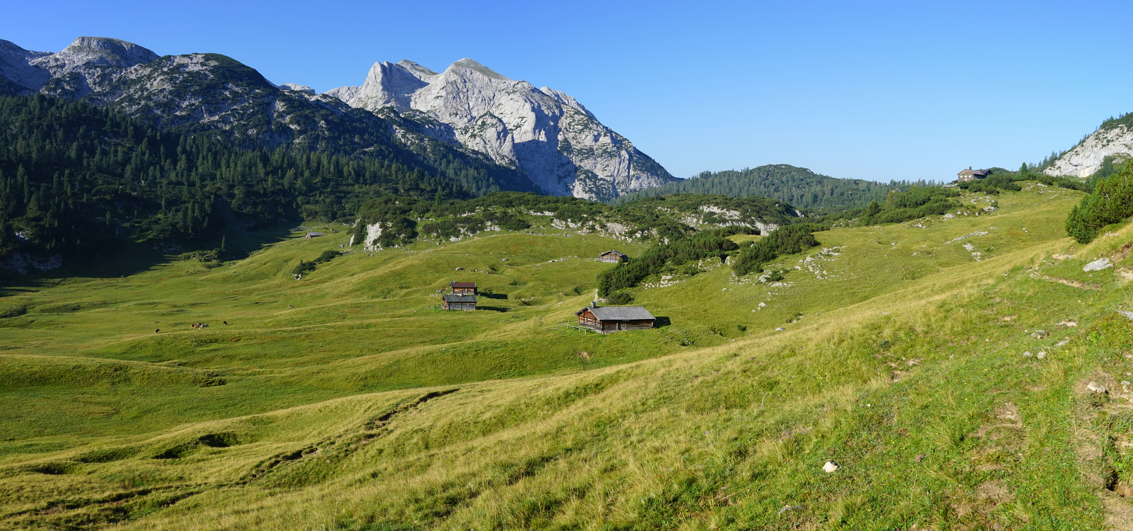 Reiteralpe, Berchtesgadener Land / Salzburg