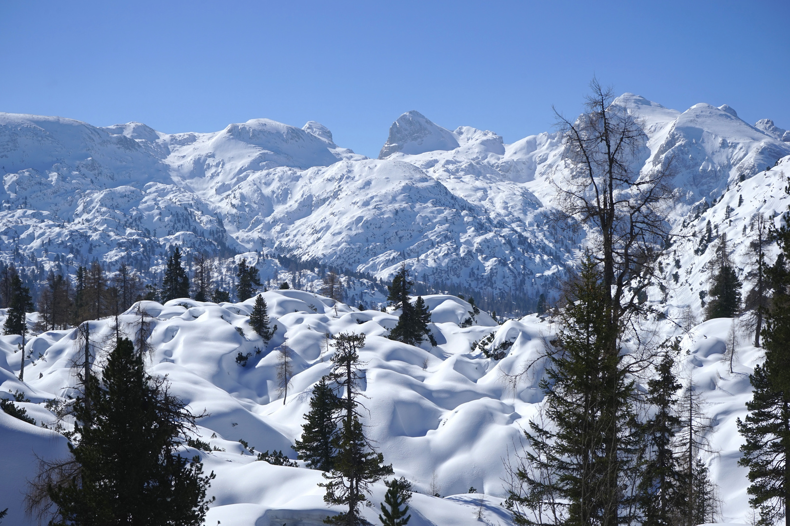 Reiteralpe, Nationalpark Berchtesgaden