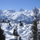 Reiteralpe, Nationalpark Berchtesgaden