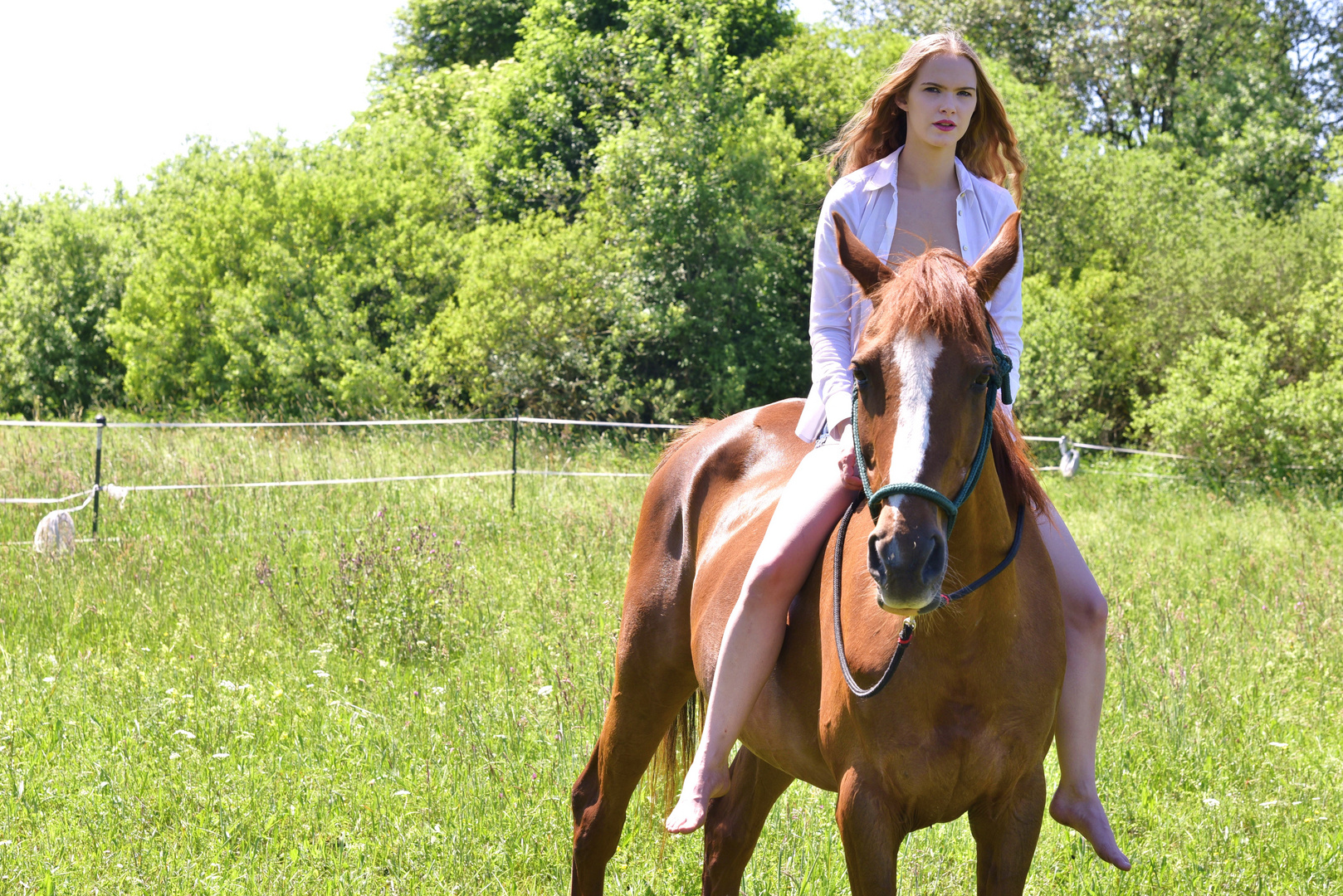 Reiterin Foto & Bild | pferd, reiten, reiterin Bilder auf fotocommunity