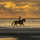 Reiterin am Strand