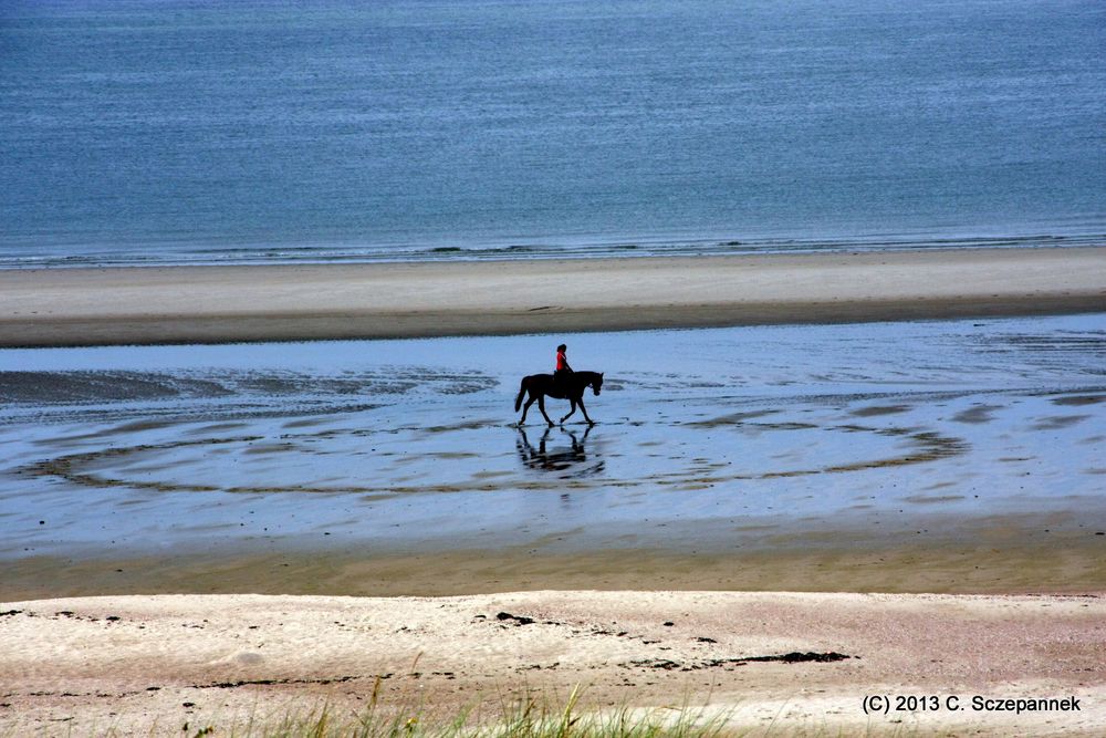 Reiterin am Strand