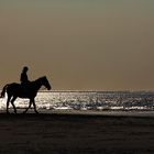 Reiterin am Strand