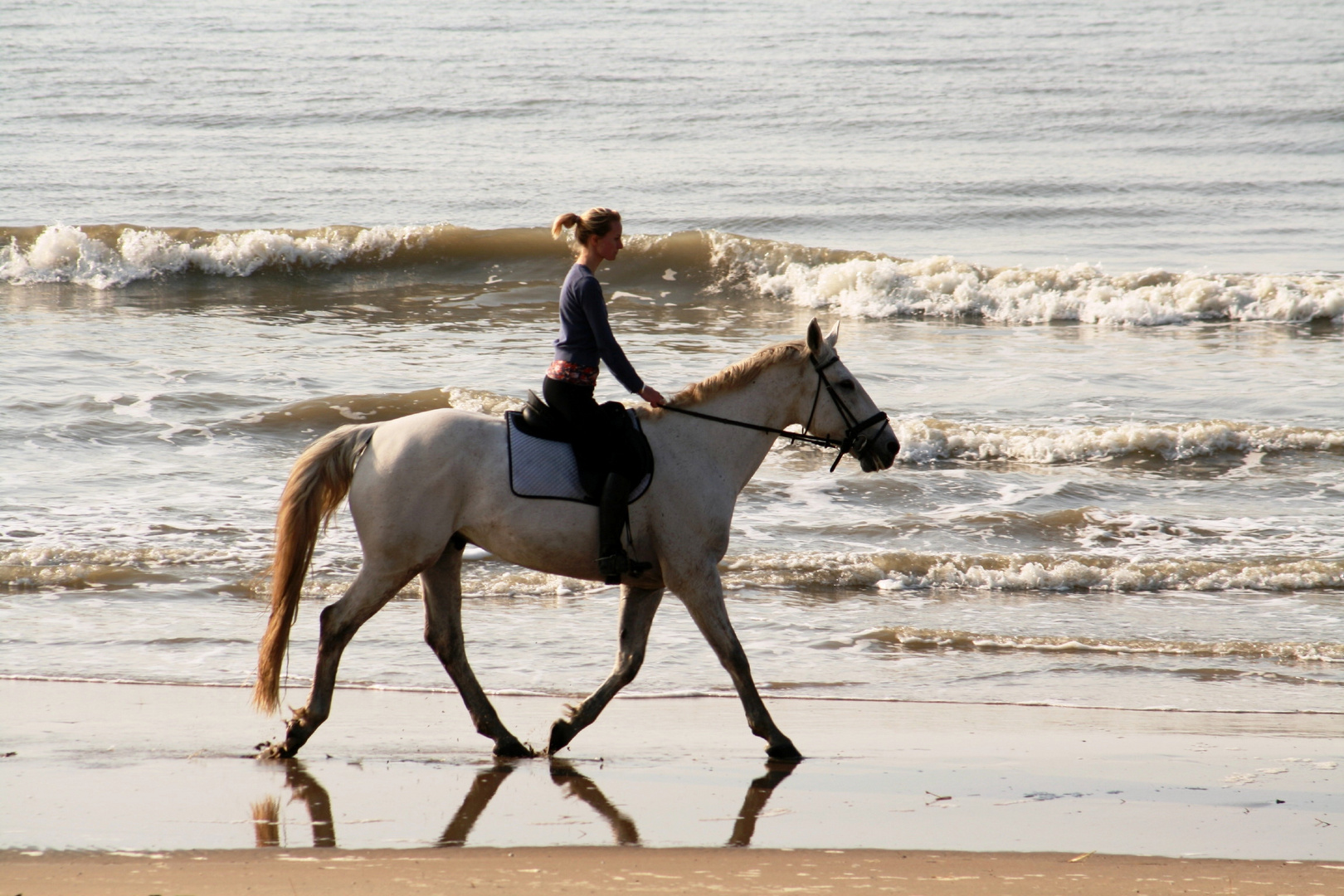 Reiterin am Strand von Noordwijk (Niederlande) (22.03.2012) (4)