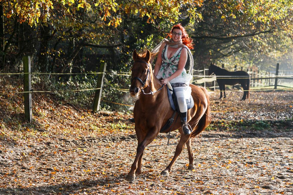 Reiterin im November #7 Foto & Bild | outdoor, frau, pferde Bilder auf