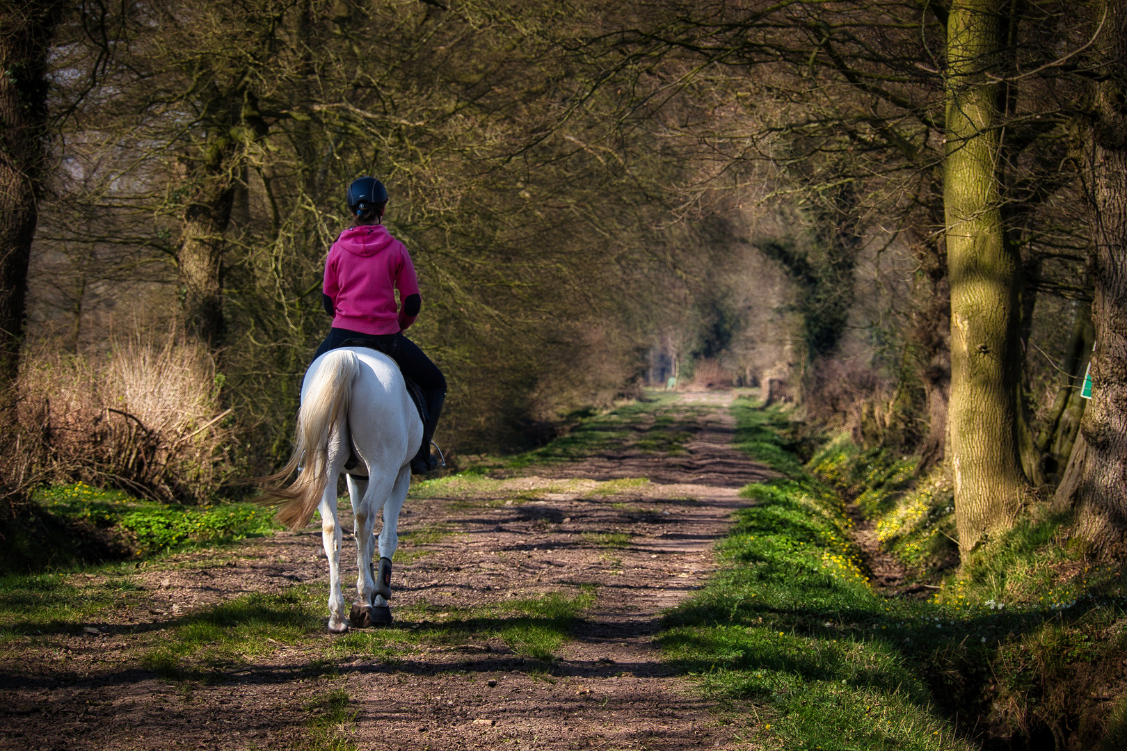 Reiterin mit Pferd Foto & Bild erwachsene, tiere, haustiere Bilder