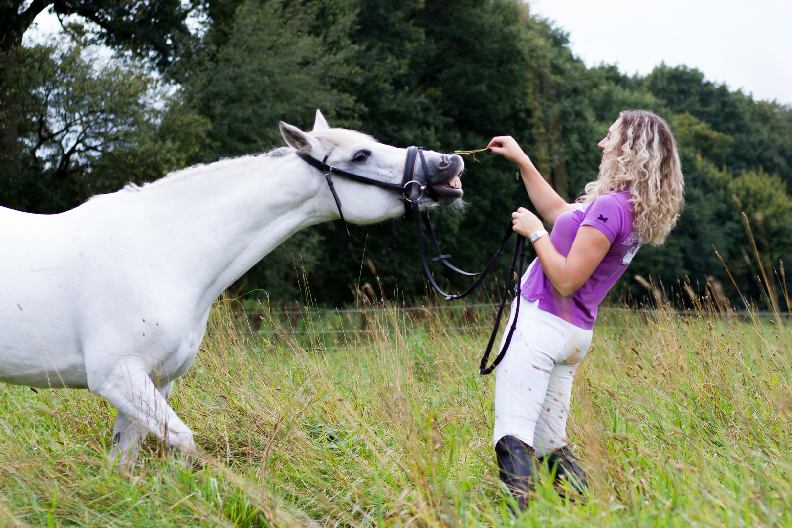 Reiterin mit Pferd Foto & Bild | fotos, natur, pferde Bilder auf
