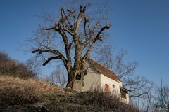 Reiterleskapelle bei Tannweiler