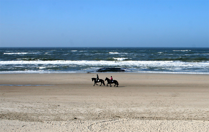 Reitern am Strande