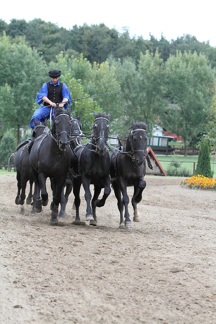 Reiterspiele in der Puszta (bei Budapest)