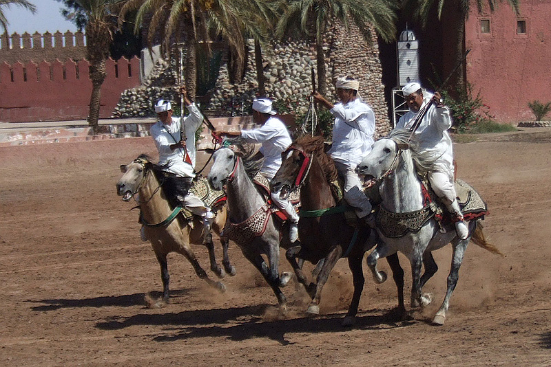reiterspiele in marrakesch