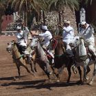 reiterspiele in marrakesch