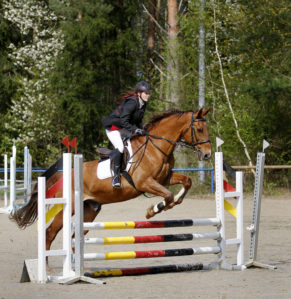 Reitertag Nastätten 2013