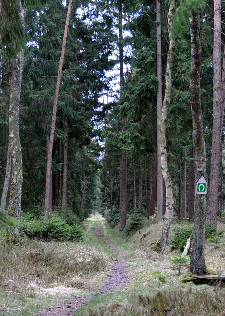 Reiterweg im Arko-Wald, Wahlstedt