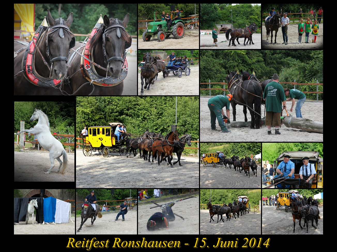 Reitfest Ronshausen - 15.06.2014