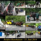 Reitfest Ronshausen - 15.06.2014