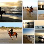 ~ Reitimpressionen von Sylt ~