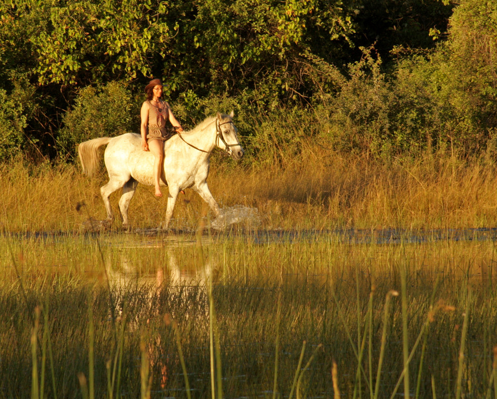 Reitsafari Afrika