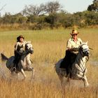 Reitsafari Boswana 2