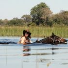 Reitsafari Botswana