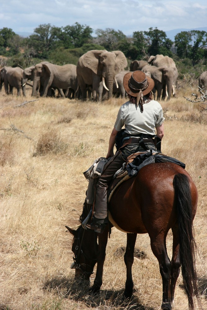 Reitsafari Tanzania 2